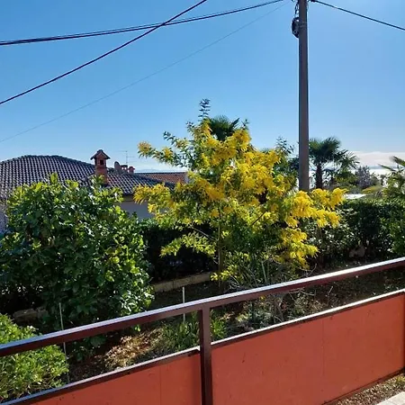 Apartman Rubin Ika