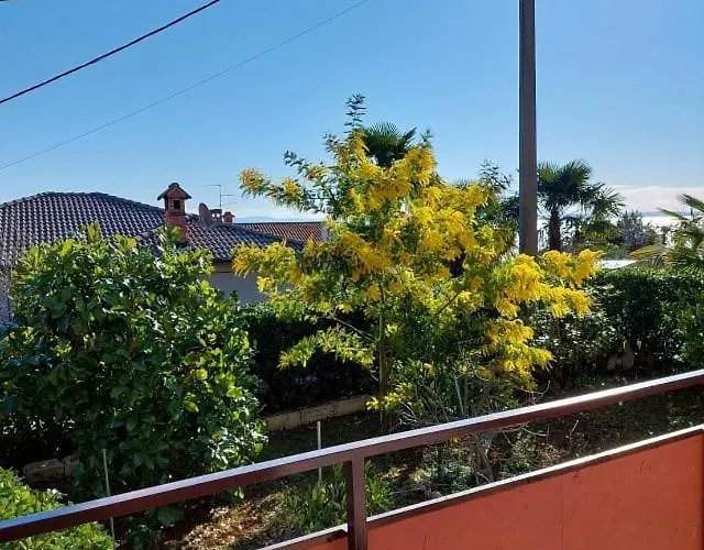 Apartament Rubin Ika